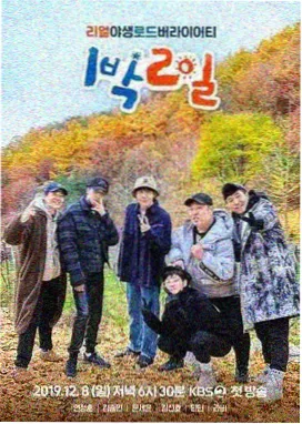 全民综艺秀 综艺 2026